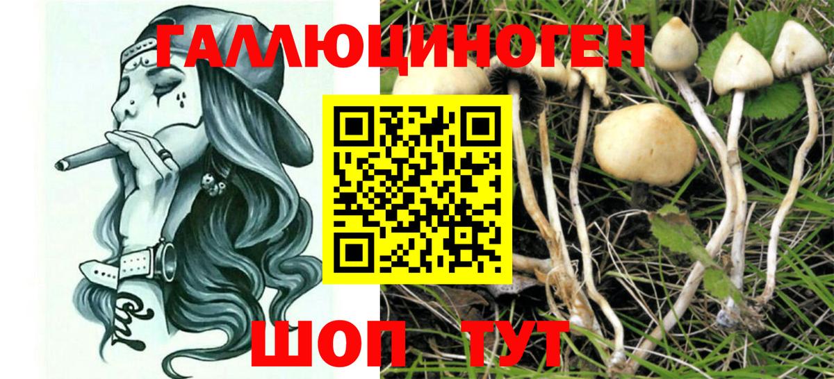 Псилоцибиновые грибы прущие грибы Клинцы
